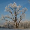 Достопримечательности Гатчины