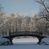 Мост в парке