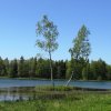Гатчинский парк