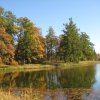 Гатчинский парк 