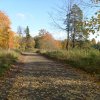 Приоратский парк в Гатчине